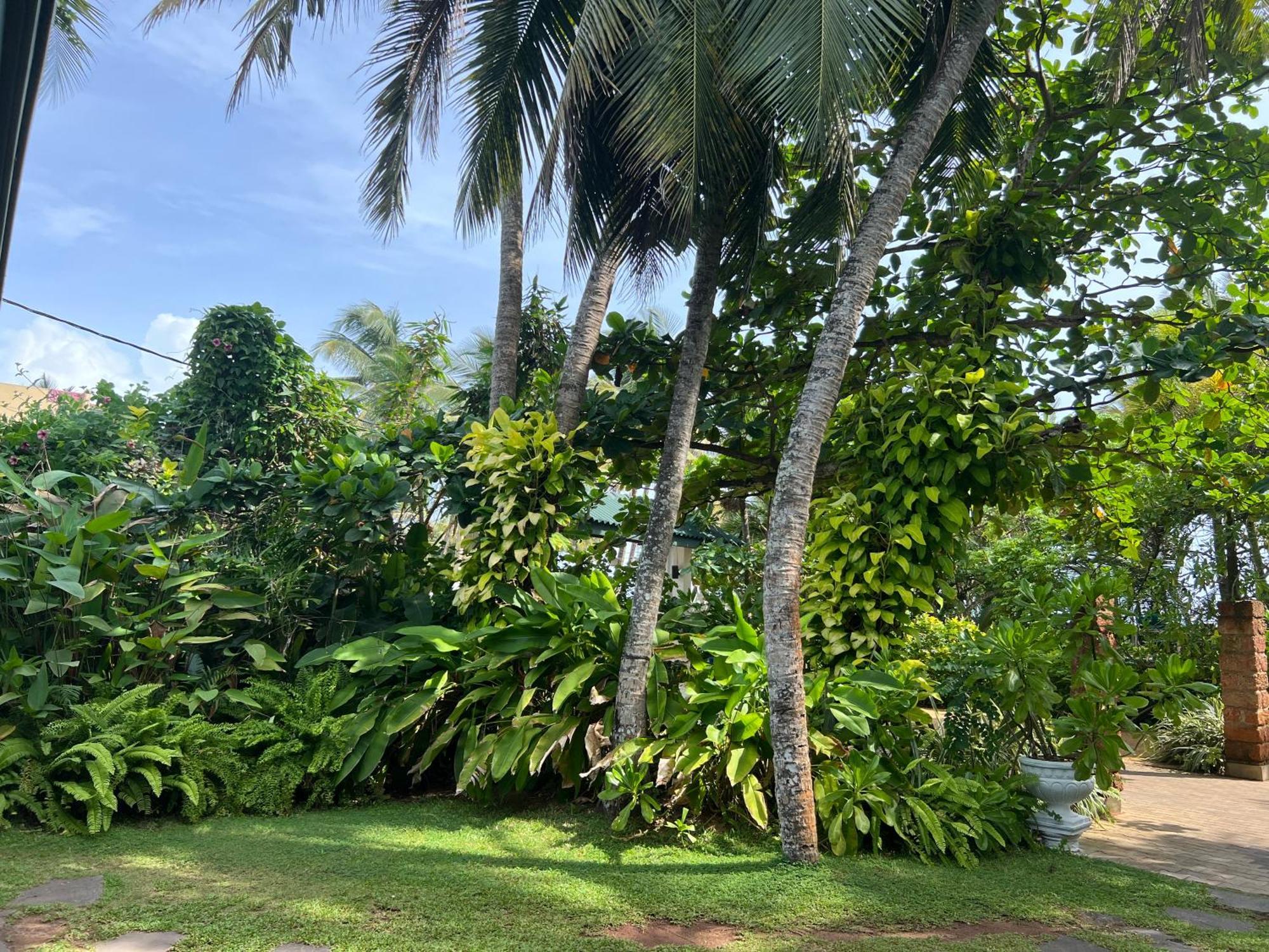 Lohas Beach Resort Villa 卡卢特勒 外观 照片