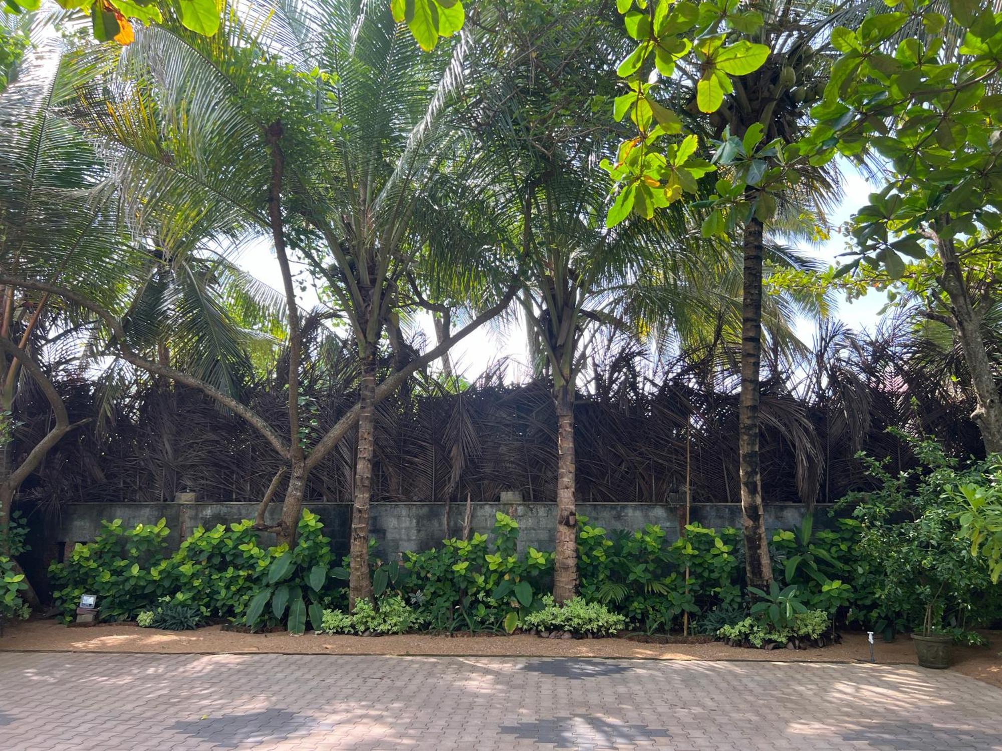 Lohas Beach Resort Villa 卡卢特勒 外观 照片