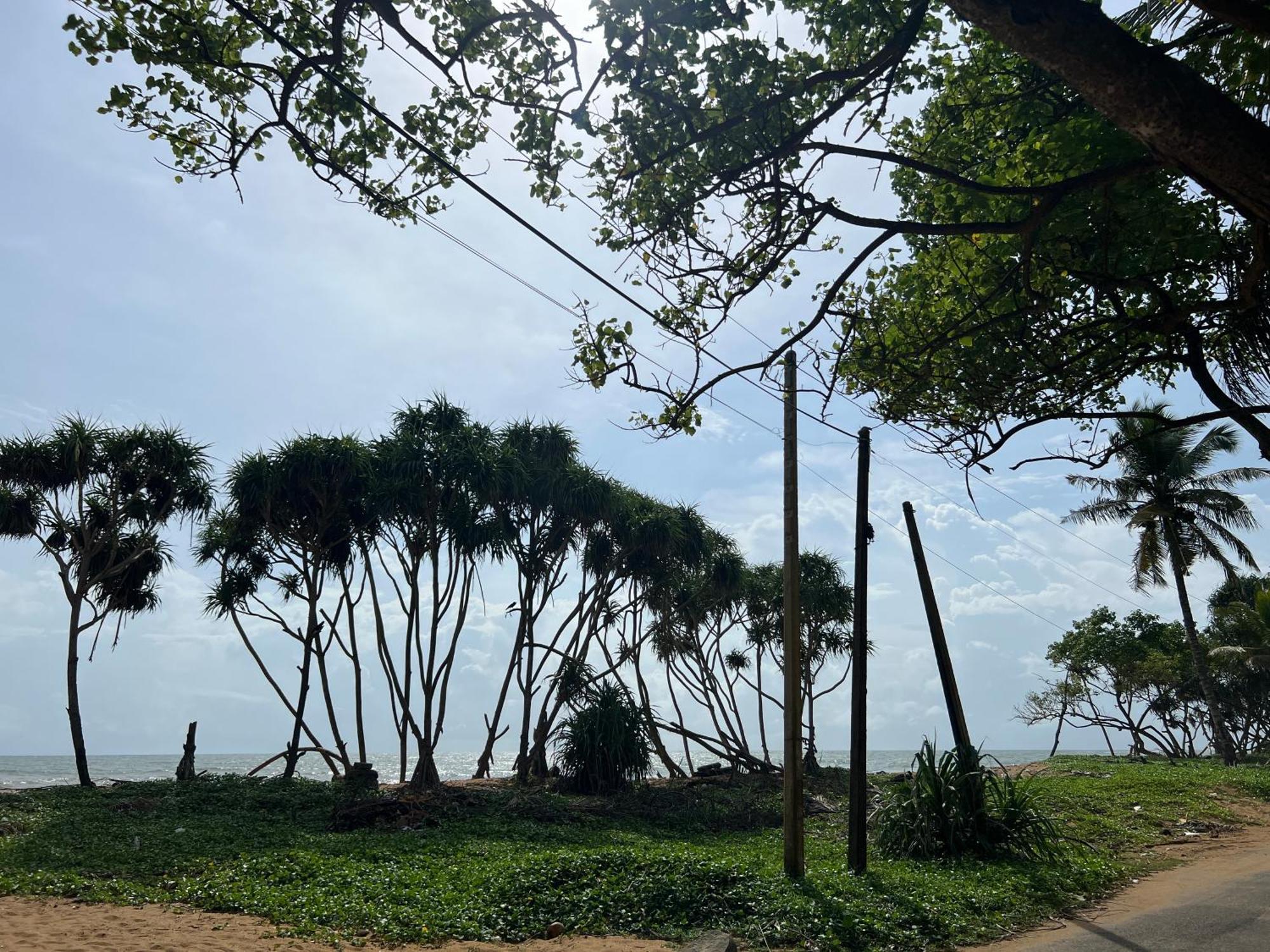 Lohas Beach Resort Villa 卡卢特勒 外观 照片
